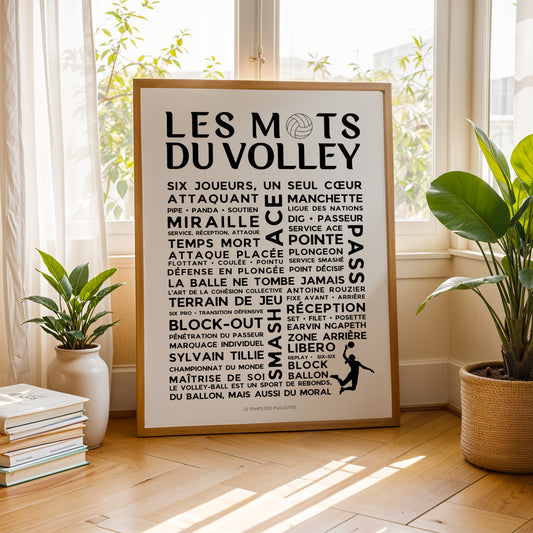 Affiche Le Volley-ball - Poster mots et expressions du Volley