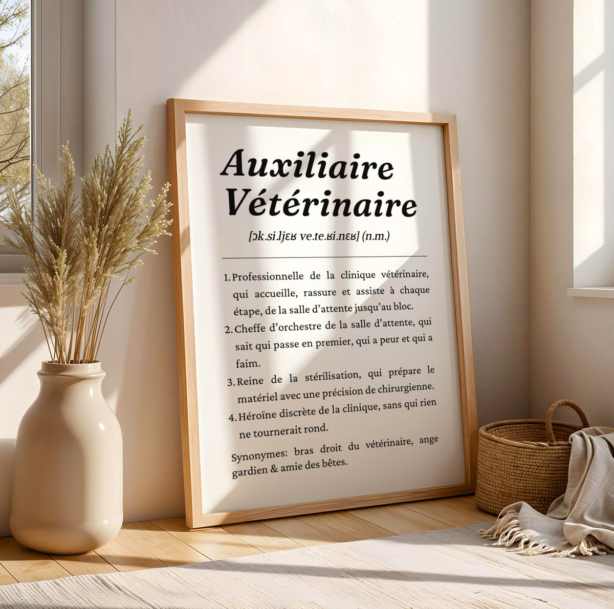 Affiche auxiliaire vétérinaire – définition humoristique, version nom masculin