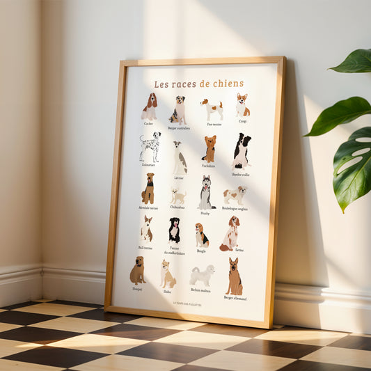 Affiche des races de chiens : 20 chiens illustrés avec leur nom (Cocker, Corgi, Husky, Berger allemand...)