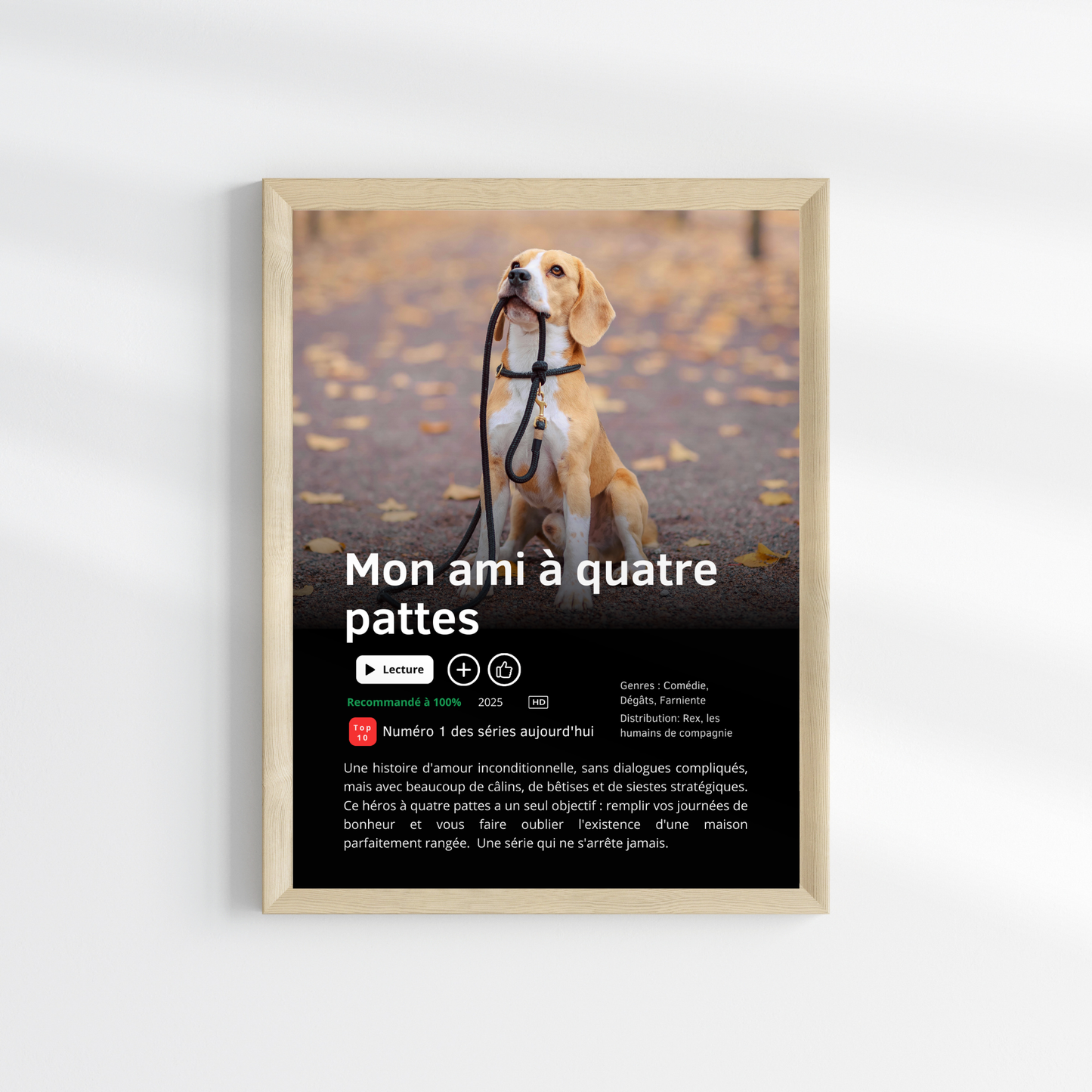 🐾 Affiche Série ou Film Netflix Personnalisée &nbsp;Chien &amp; animaux de compagnie